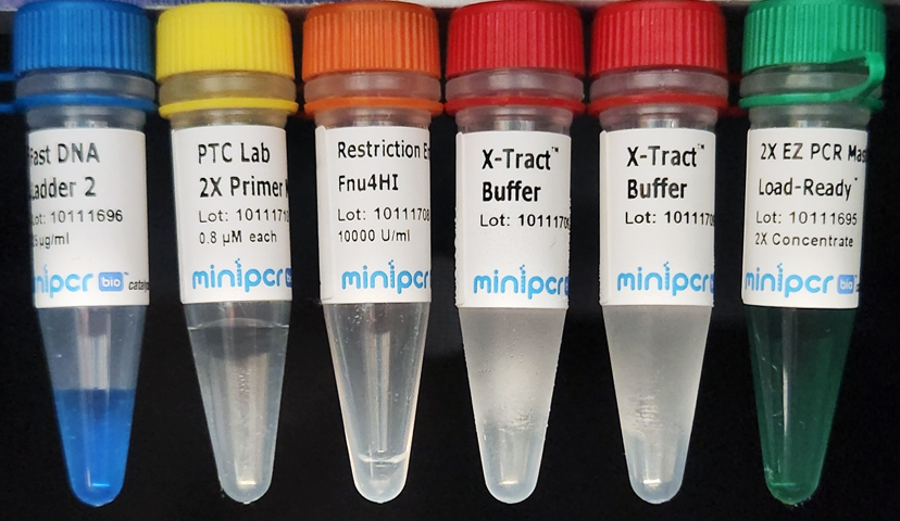 Genotype to Phenotype: PTC Taster Lab – miniPCR bio