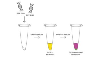 Protein purification blog thumb-2