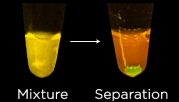 Protein_Purification_lab_results4