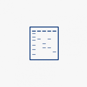 Website_Thumbnails Store-07 Electrophoresis