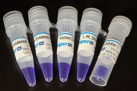 Electrophoresis Forensics Lab: Wrongfully Convicted?