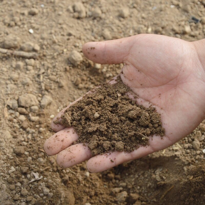 Hand picking up soil