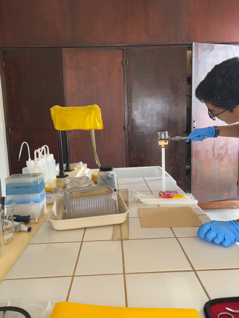 Melting agarose on a candle